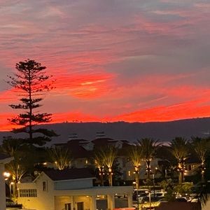 Meet your Posher, Teri